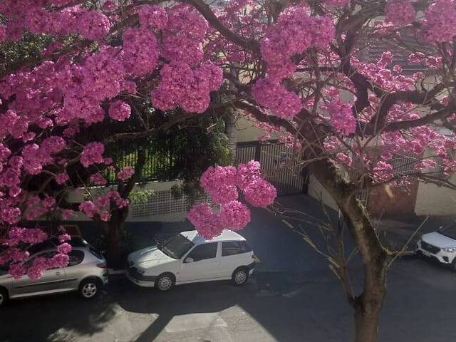 #1040 - Apartamento para Venda em São Paulo - SP - 2